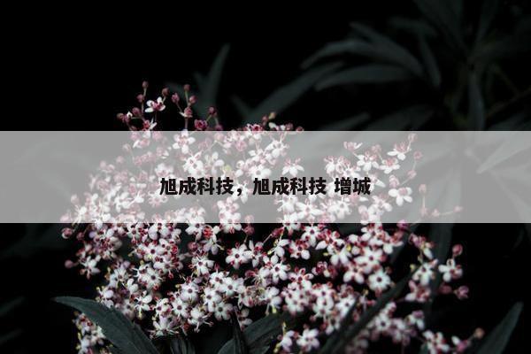 旭成科技，旭成科技 增城