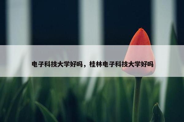 电子科技大学好吗，桂林电子科技大学好吗