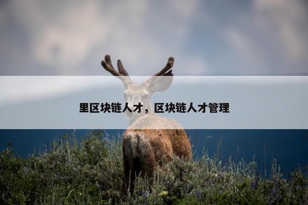 里区块链人才，区块链人才管理
