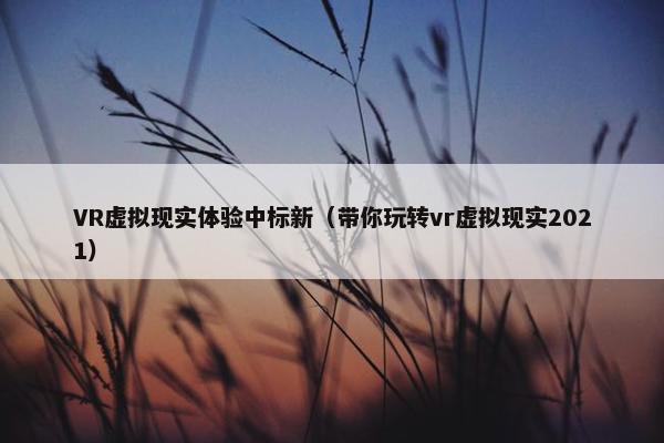 VR虚拟现实体验中标新（带你玩转vr虚拟现实2021）