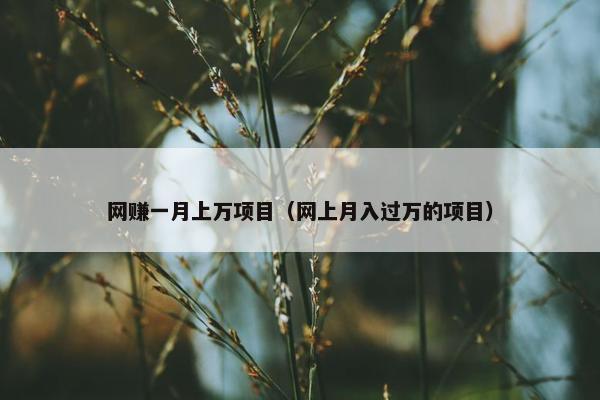 网赚一月上万项目（网上月入过万的项目）