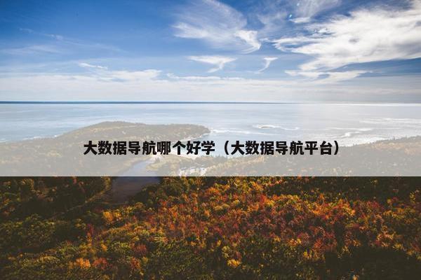 大数据导航哪个好学（大数据导航平台）