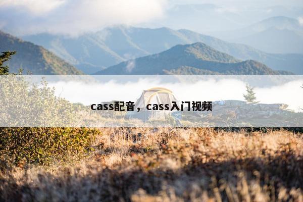 cass配音，cass入门视频