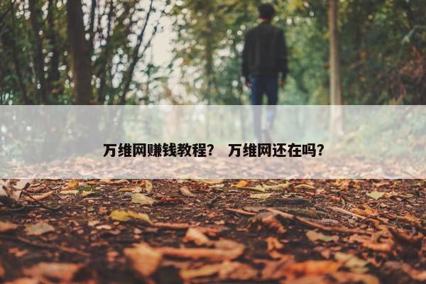 万维网赚钱教程？ 万维网还在吗？