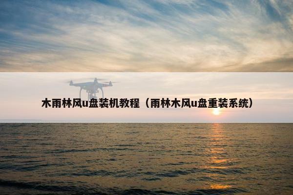 木雨林风u盘装机教程（雨林木风u盘重装系统）