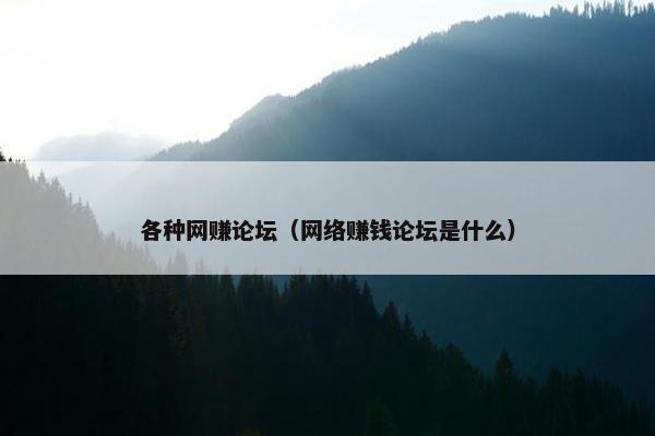 各种网赚论坛（网络赚钱论坛是什么）