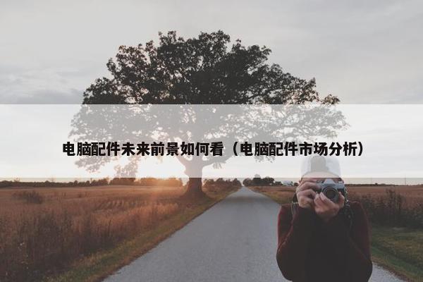 电脑配件未来前景如何看（电脑配件市场分析）
