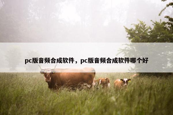 pc版音频合成软件，pc版音频合成软件哪个好