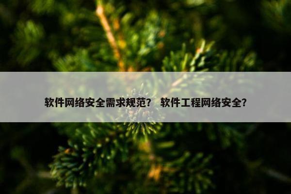 软件网络安全需求规范？ 软件工程网络安全？