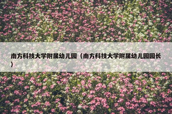 南方科技大学附属幼儿园（南方科技大学附属幼儿园园长）