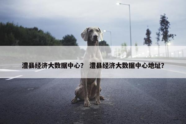 澧县经济大数据中心？ 澧县经济大数据中心地址？