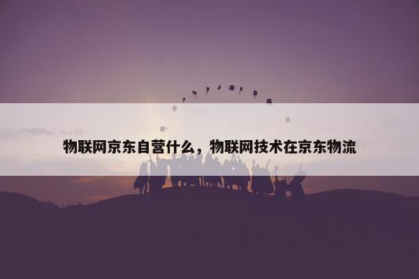 物联网京东自营什么，物联网技术在京东物流
