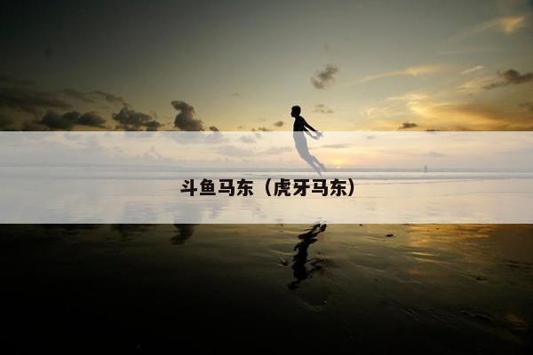 斗鱼马东（虎牙马东）