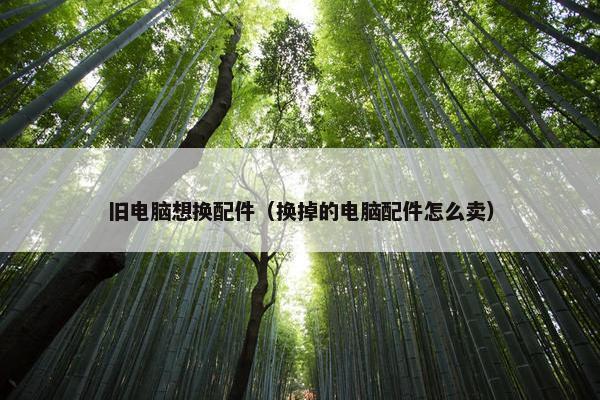 旧电脑想换配件（换掉的电脑配件怎么卖）