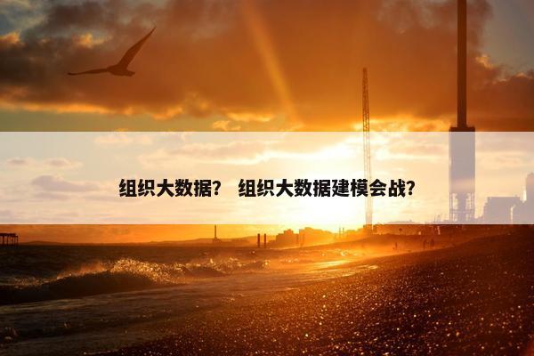 组织大数据？ 组织大数据建模会战？