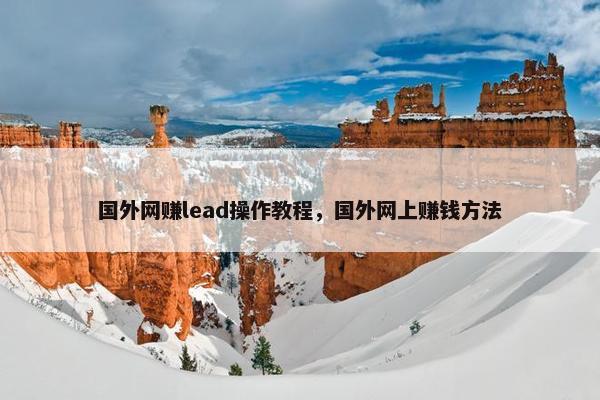 国外网赚lead操作教程，国外网上赚钱方法