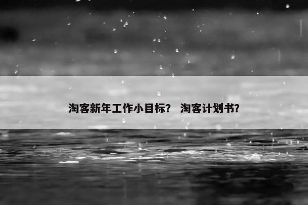 淘客新年工作小目标？ 淘客计划书？