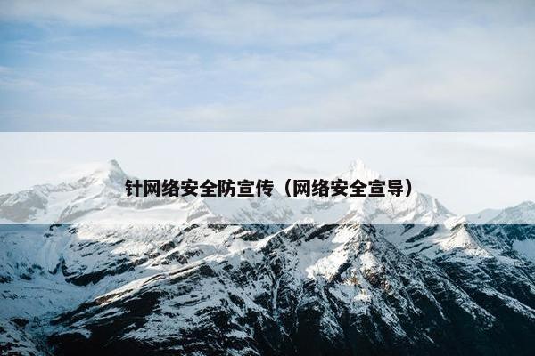 针网络安全防宣传（网络安全宣导）