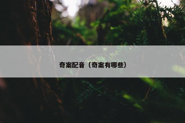 奇案配音（奇案有哪些）