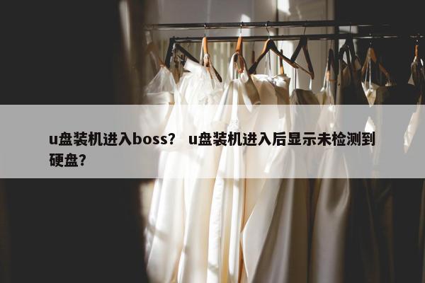 u盘装机进入boss？ u盘装机进入后显示未检测到硬盘？