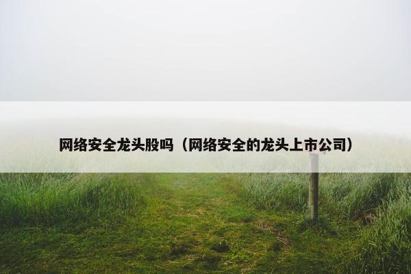 网络安全龙头股吗（网络安全的龙头上市公司）