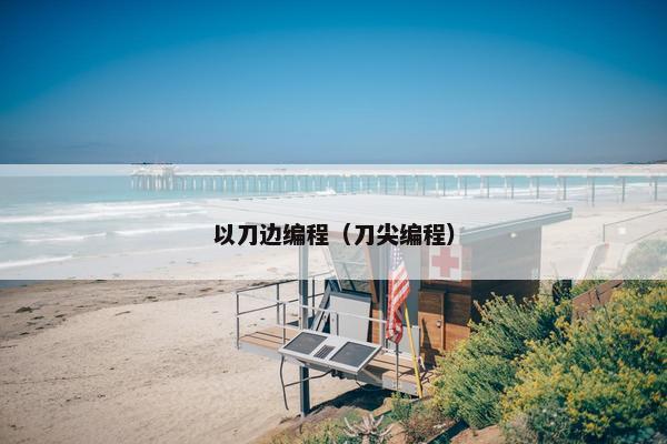 以刀边编程（刀尖编程）