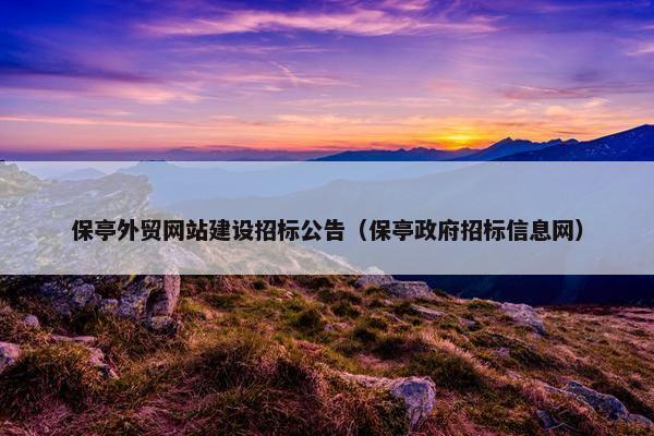 保亭外贸网站建设招标公告（保亭政府招标信息网）