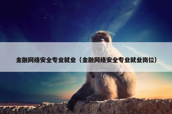 金融网络安全专业就业（金融网络安全专业就业岗位）