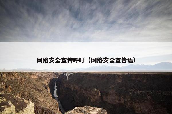 网络安全宣传呼吁（网络安全宣告语）