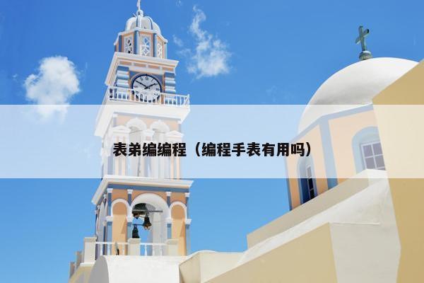 表弟编编程（编程手表有用吗）