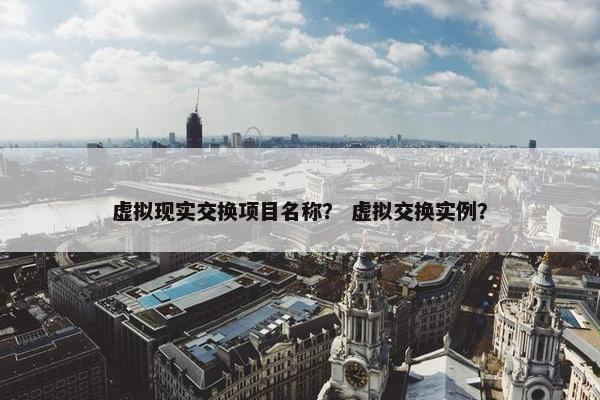 虚拟现实交换项目名称？ 虚拟交换实例？
