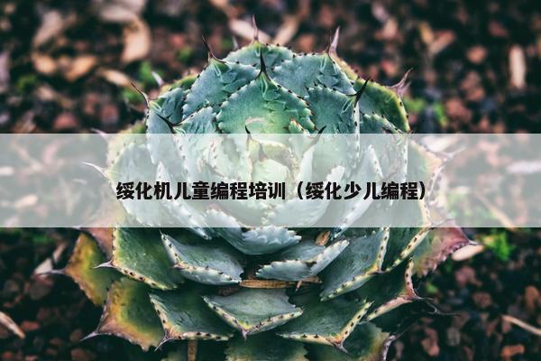 绥化机儿童编程培训（绥化少儿编程）