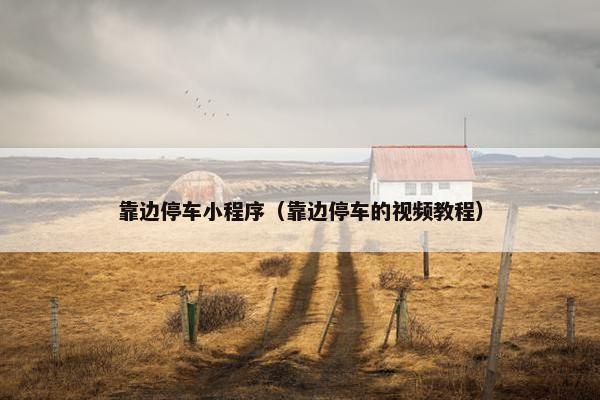 靠边停车小程序（靠边停车的视频教程）