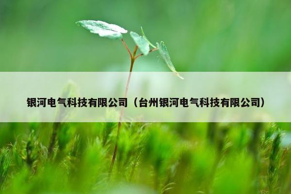 银河电气科技有限公司（台州银河电气科技有限公司）