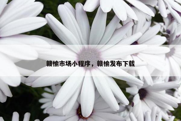 赣榆市场小程序，赣榆发布下载