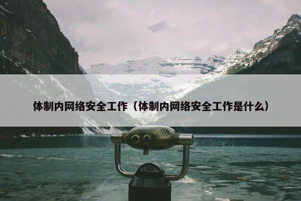 体制内网络安全工作（体制内网络安全工作是什么）