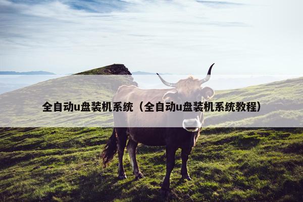 全自动u盘装机系统（全自动u盘装机系统教程）