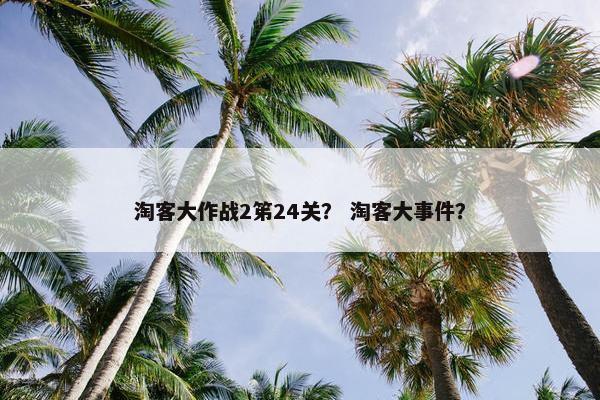 淘客大作战2笫24关？ 淘客大事件？
