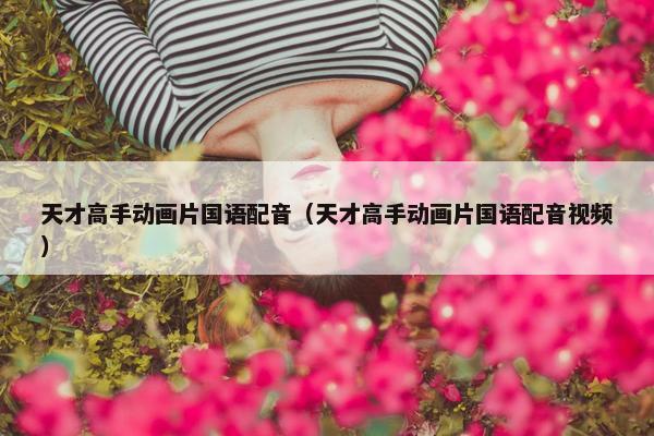 天才高手动画片国语配音（天才高手动画片国语配音视频）