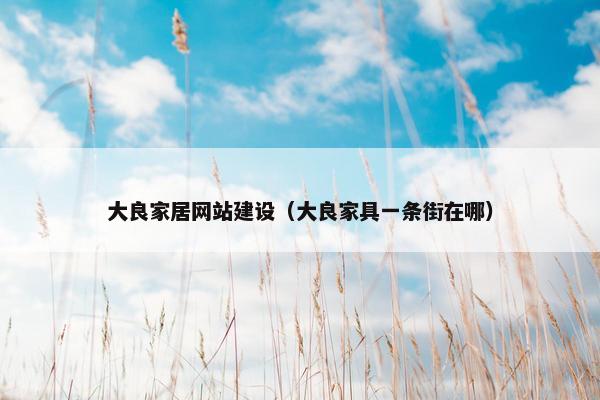 大良家居网站建设（大良家具一条街在哪）