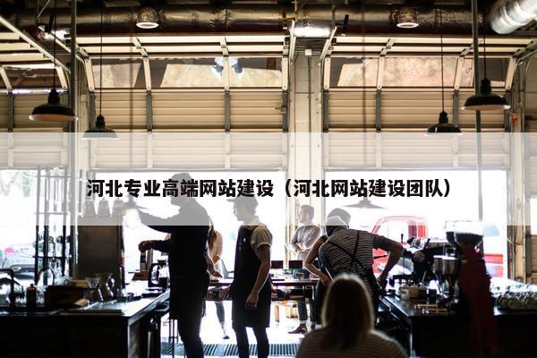 河北专业高端网站建设（河北网站建设团队）