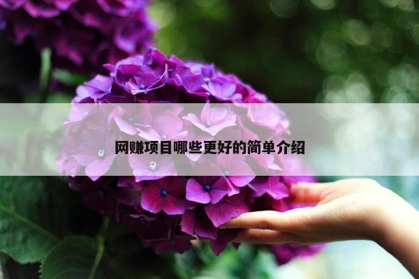网赚项目哪些更好的简单介绍