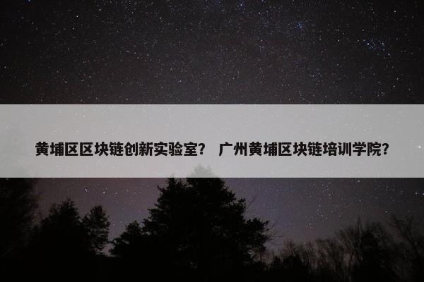 黄埔区区块链创新实验室？ 广州黄埔区块链培训学院？