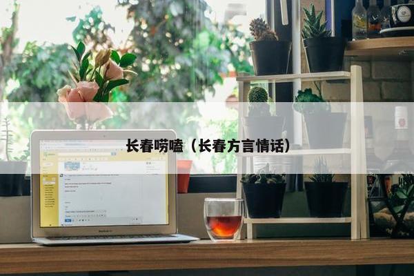 长春唠嗑（长春方言情话）