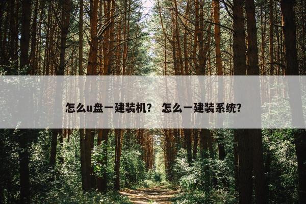 怎么u盘一建装机？ 怎么一建装系统？