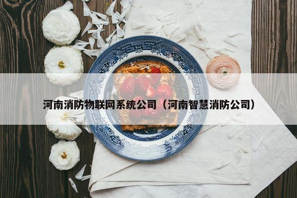 河南消防物联网系统公司（河南智慧消防公司）