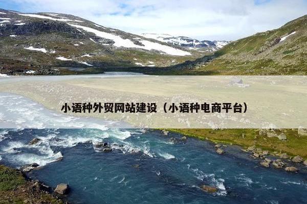 小语种外贸网站建设（小语种电商平台）