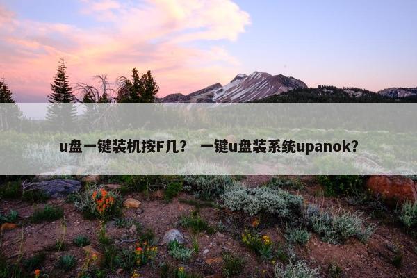 u盘一键装机按F几？ 一键u盘装系统upanok？