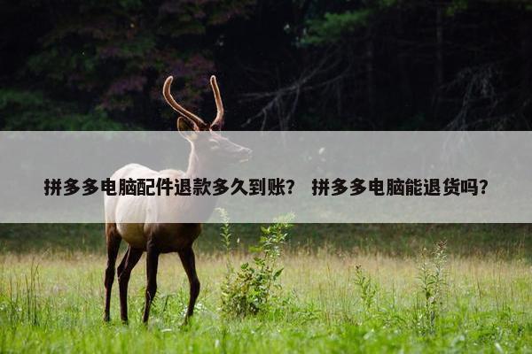 拼多多电脑配件退款多久到账？ 拼多多电脑能退货吗？