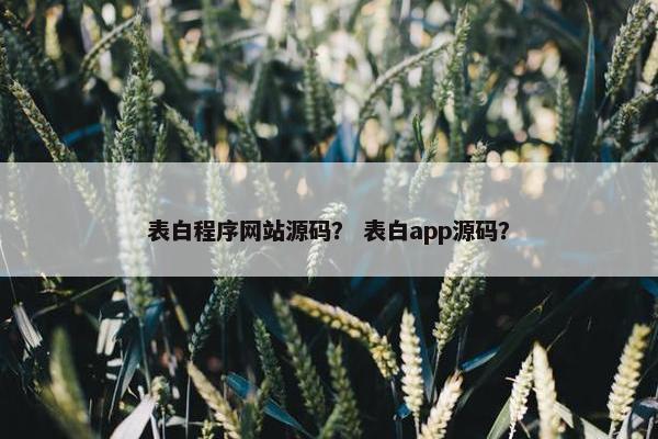 表白程序网站源码？ 表白app源码？